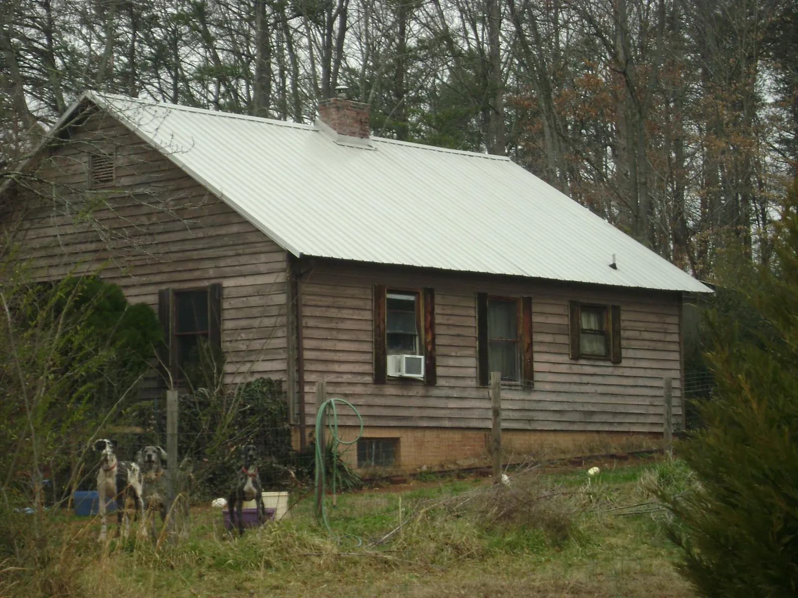 White metal roof on an old wood sided farmhouse, from a Asphalt Shingle Roof Repair job in Hopedale